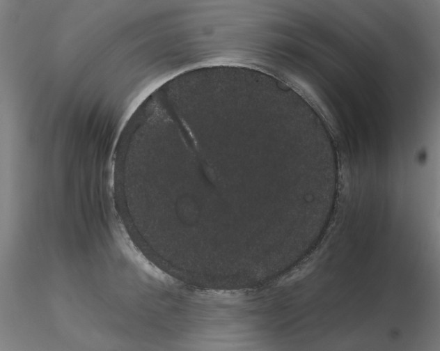 X0000116120900200912211651