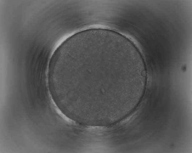 X0000116120902200912211651