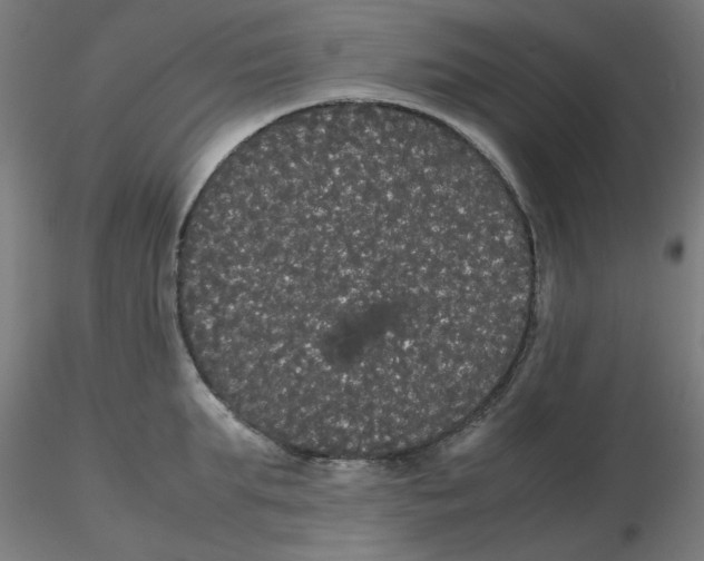 X0000116120903200912211651