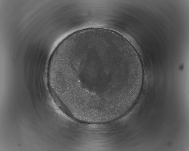 X0000116120904200912211651