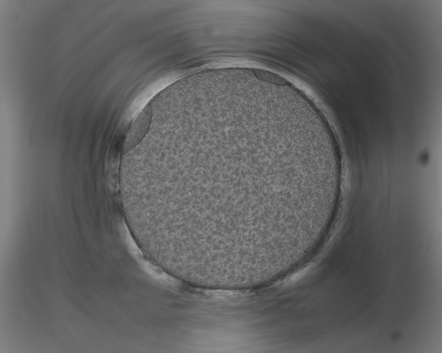 X0000116120905200912211651
