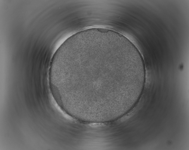 X0000116120906200912211651