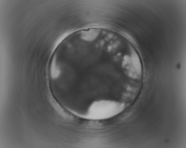 X0000116120907200912211651