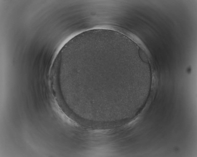 X0000116120908200912211651