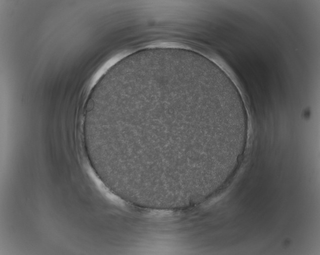 X0000116120909200912211651