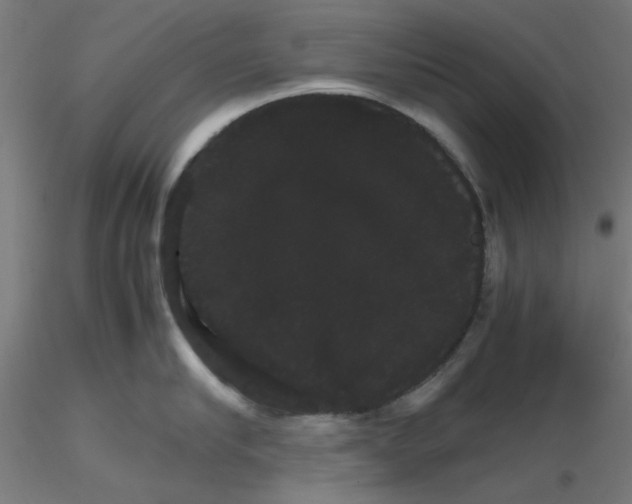 X0000116120910200912211651