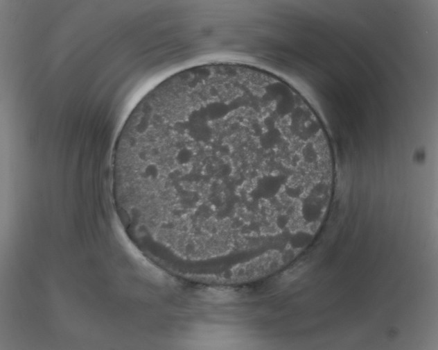 X0000116120911200912211651
