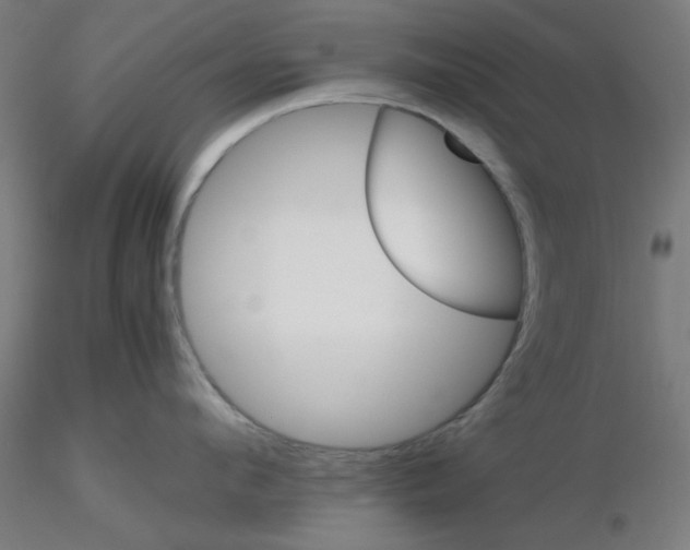 X0000116120912200912211651