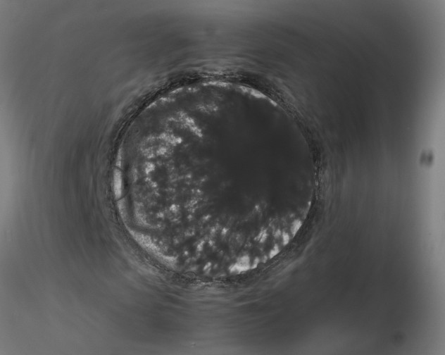 X0000116120913200912211650