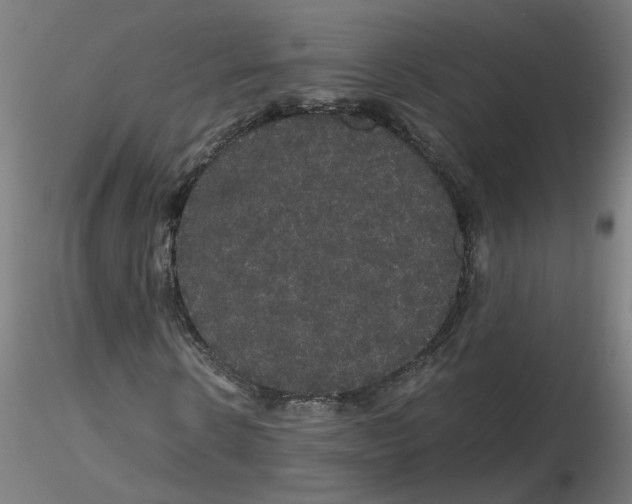 X0000116120914200912211650