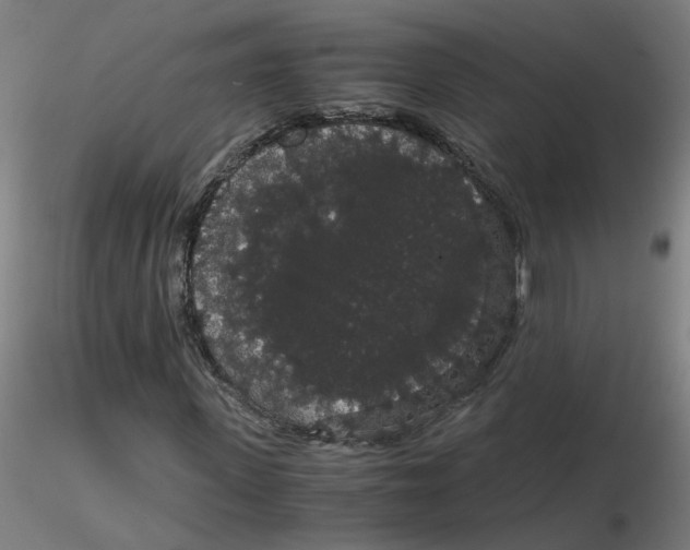 X0000116120915200912211650