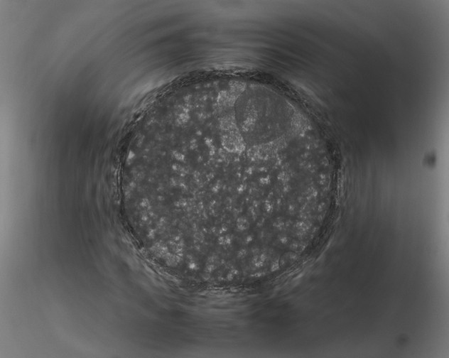 X0000116120917200912211650