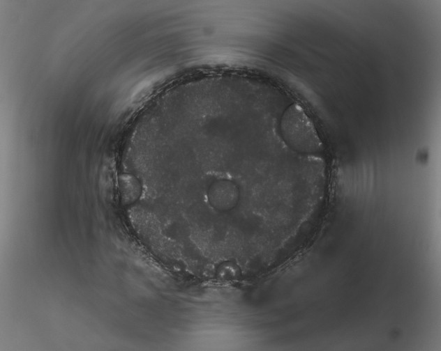 X0000116120918200912211651