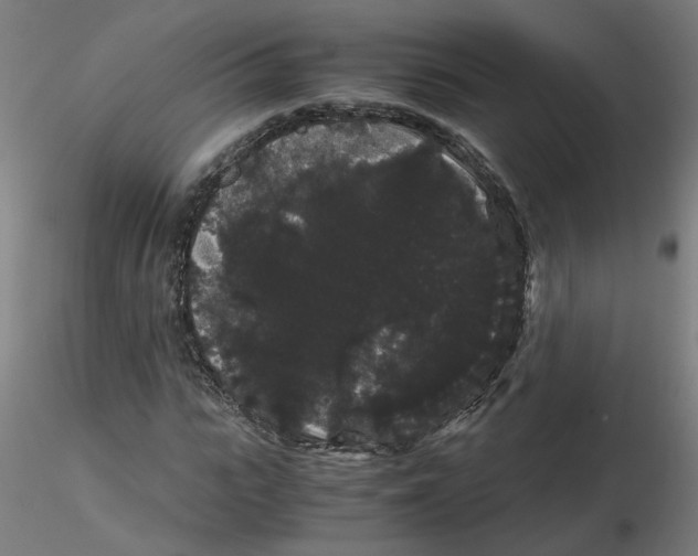 X0000116120919200912211651
