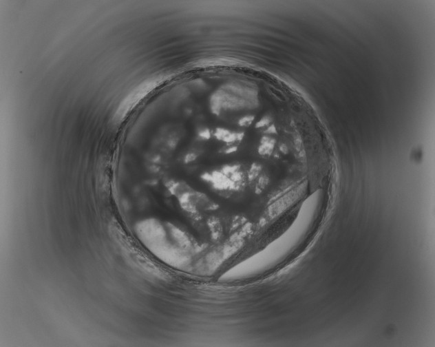 X0000116120921200912211651