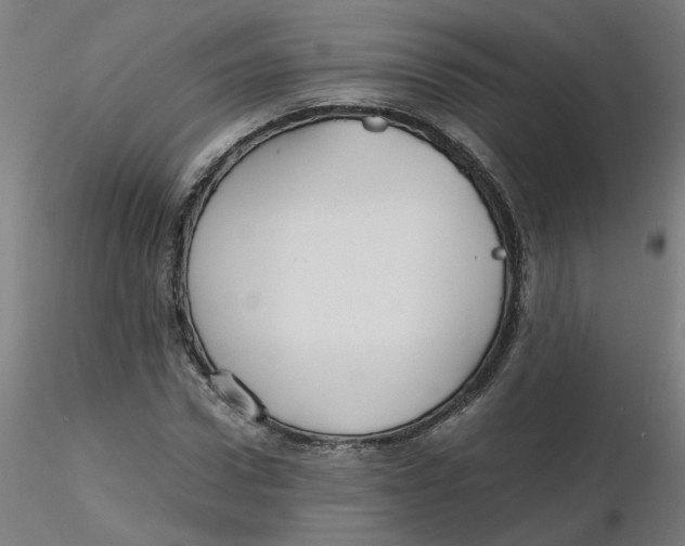 X0000116120922200912211651