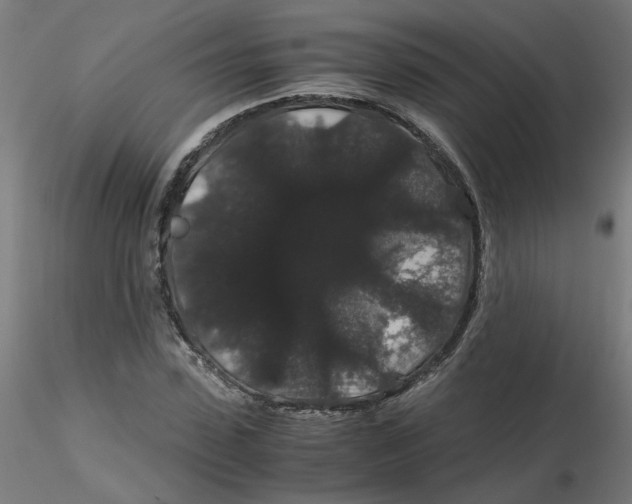 X0000116120923200912211651