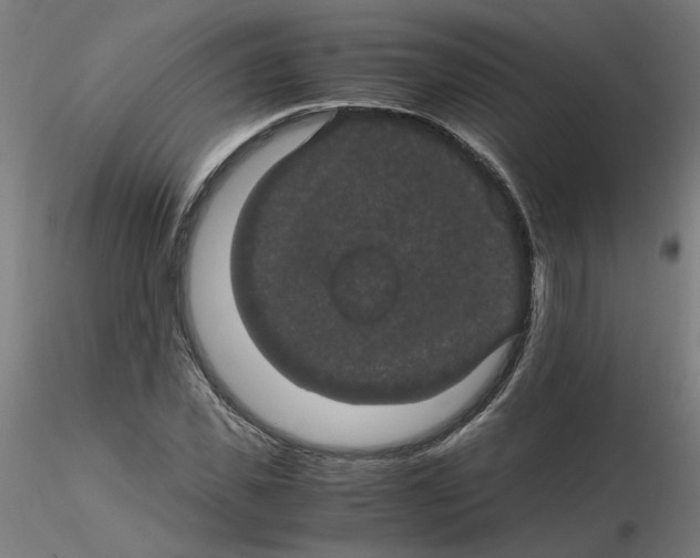 X0000116120925200912211651