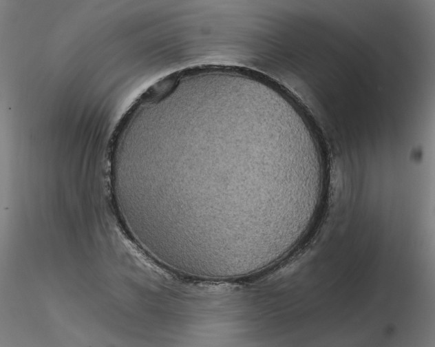 X0000116120926200912211651