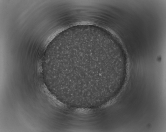 X0000116120929200912211651