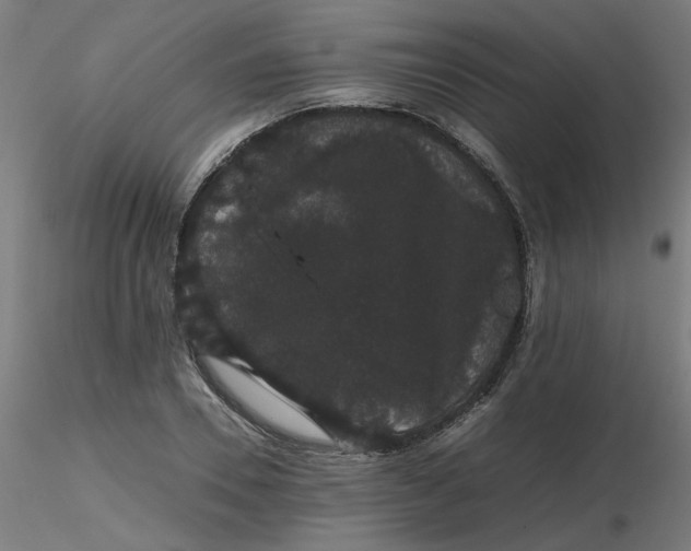 X0000116120930200912211651