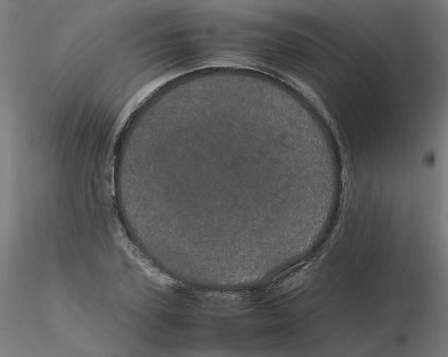 X0000116120931200912211651