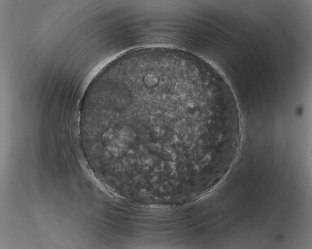 X0000116120933200912211651