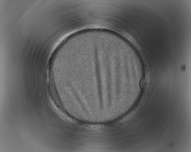 X0000116120934200912211651
