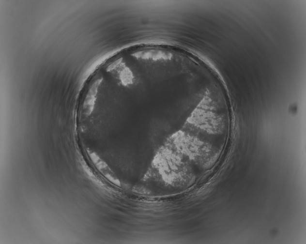 X0000116120935200912211651