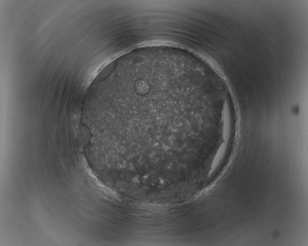 X0000116120937200912211651