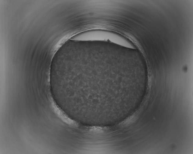X0000116120938200912211651