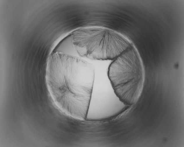 X0000116120941200912211651