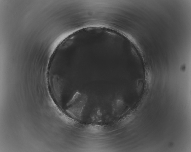 X0000116120943200912211651