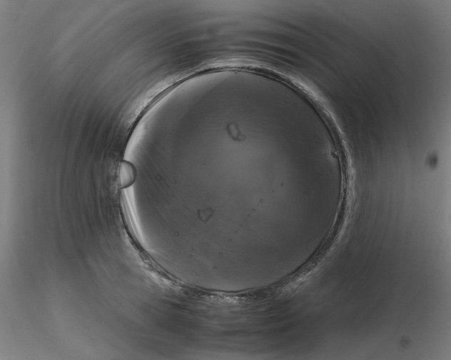 X0000116120945200912211651