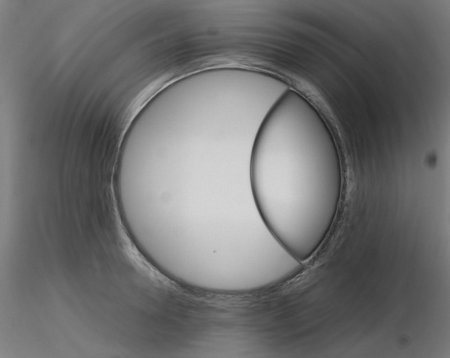 X0000116120946200912211651