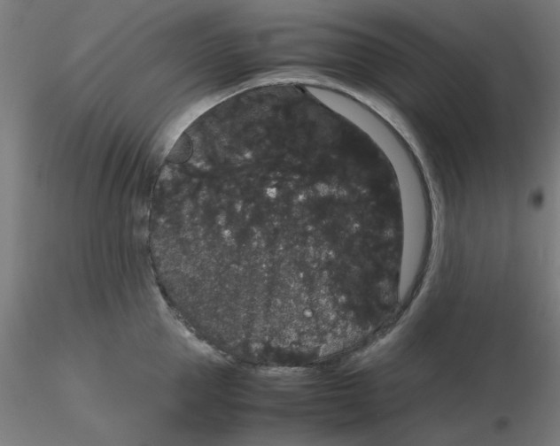 X0000116120953200912211651