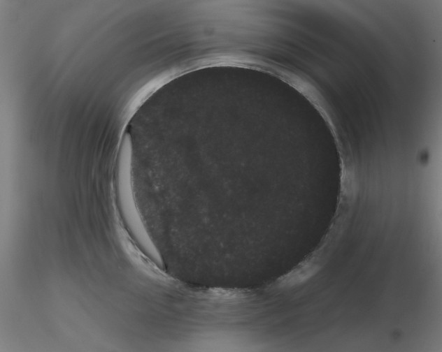 X0000116120954200912211651