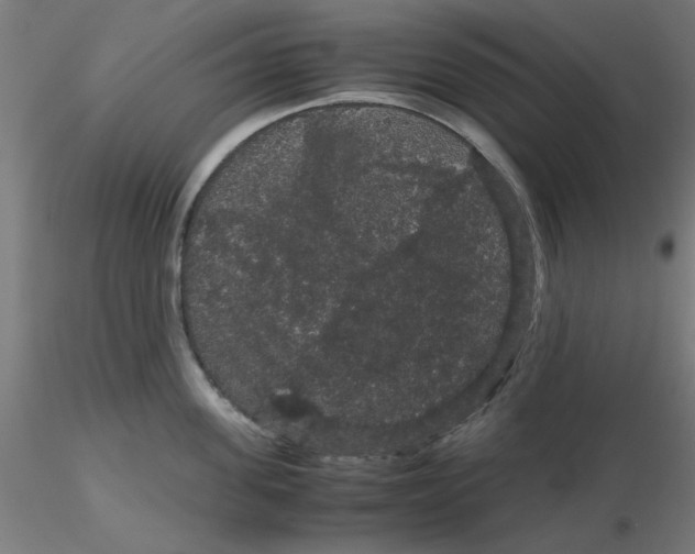 X0000116120955200912211651