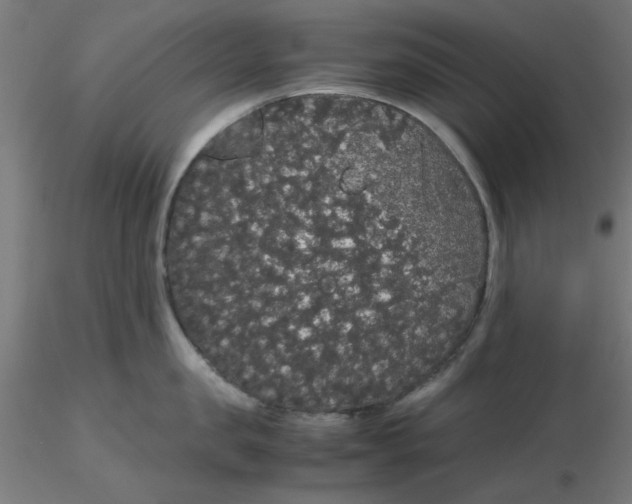 X0000116120957200912211651