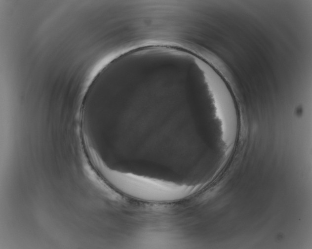 X0000116120958200912211651