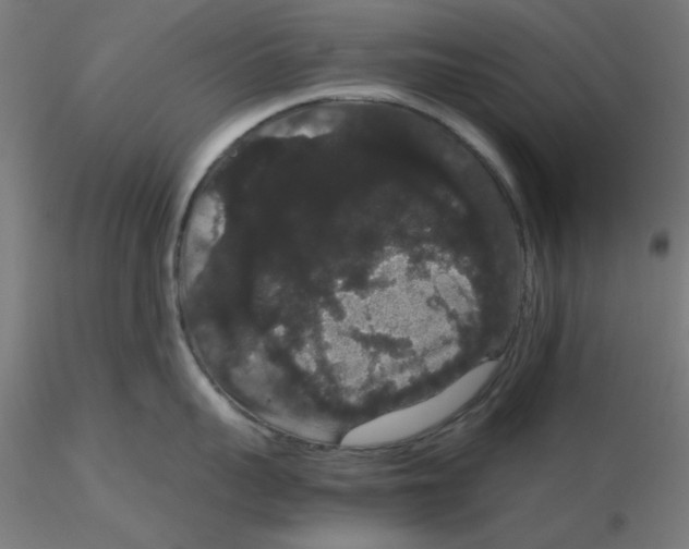 X0000116120959200912211651