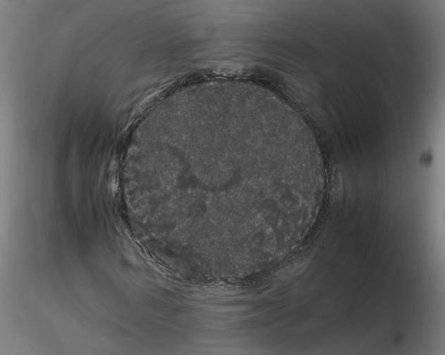 X0000116120962200912211650