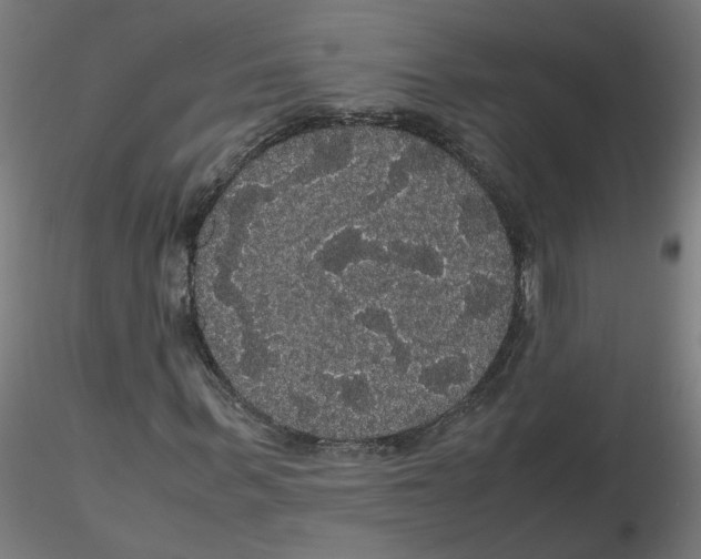 X0000116120963200912211650
