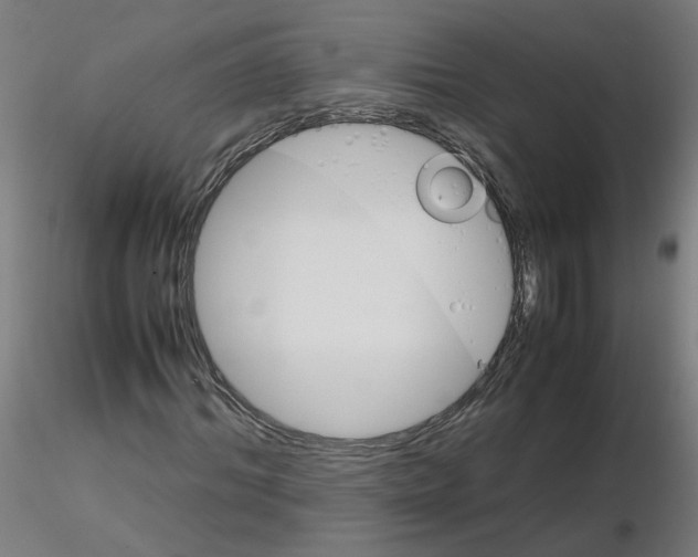 X0000116120964200912211650
