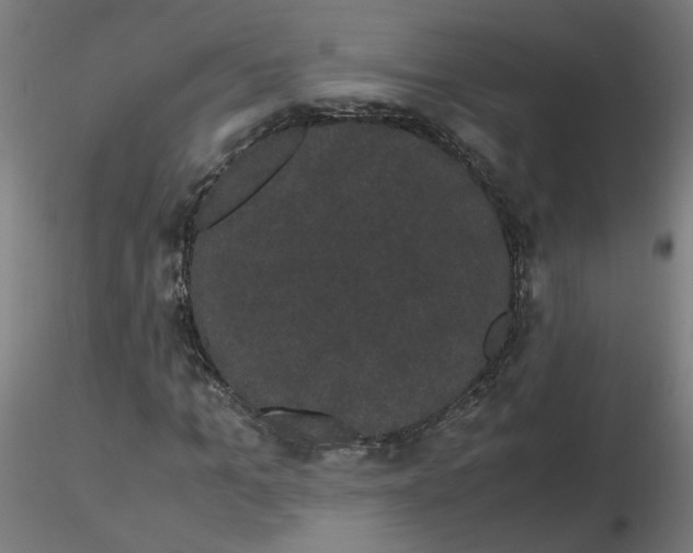 X0000116120965200912211650