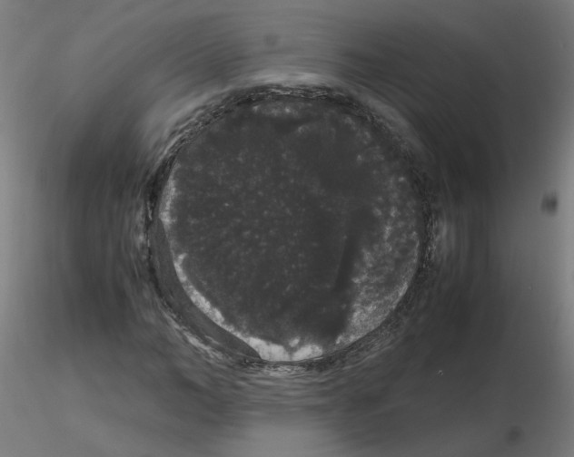 X0000116120966200912211650