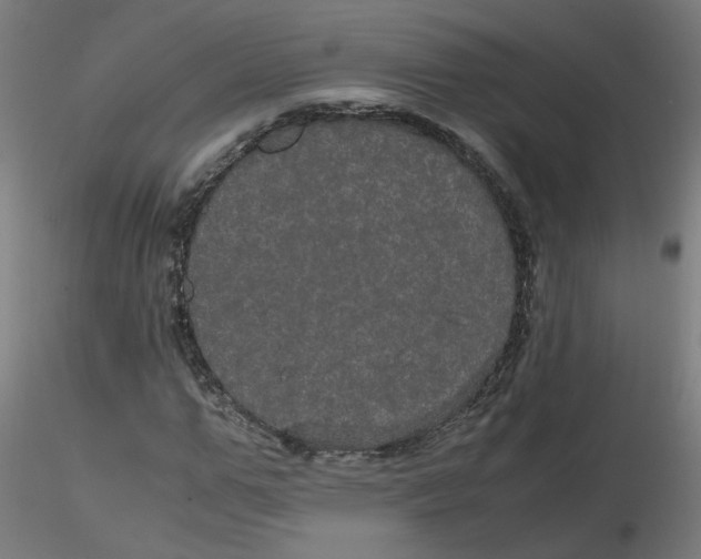 X0000116120967200912211650