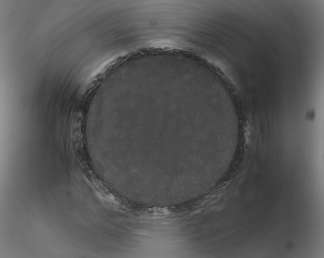 X0000116120968200912211650