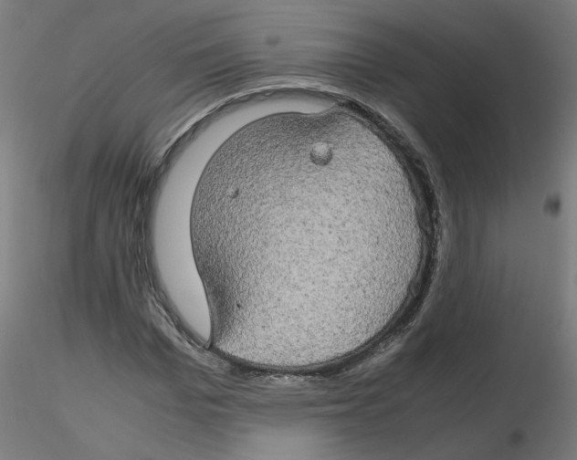 X0000116120969200912211650