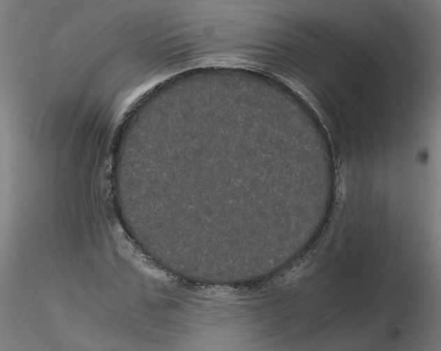 X0000116120971200912211650